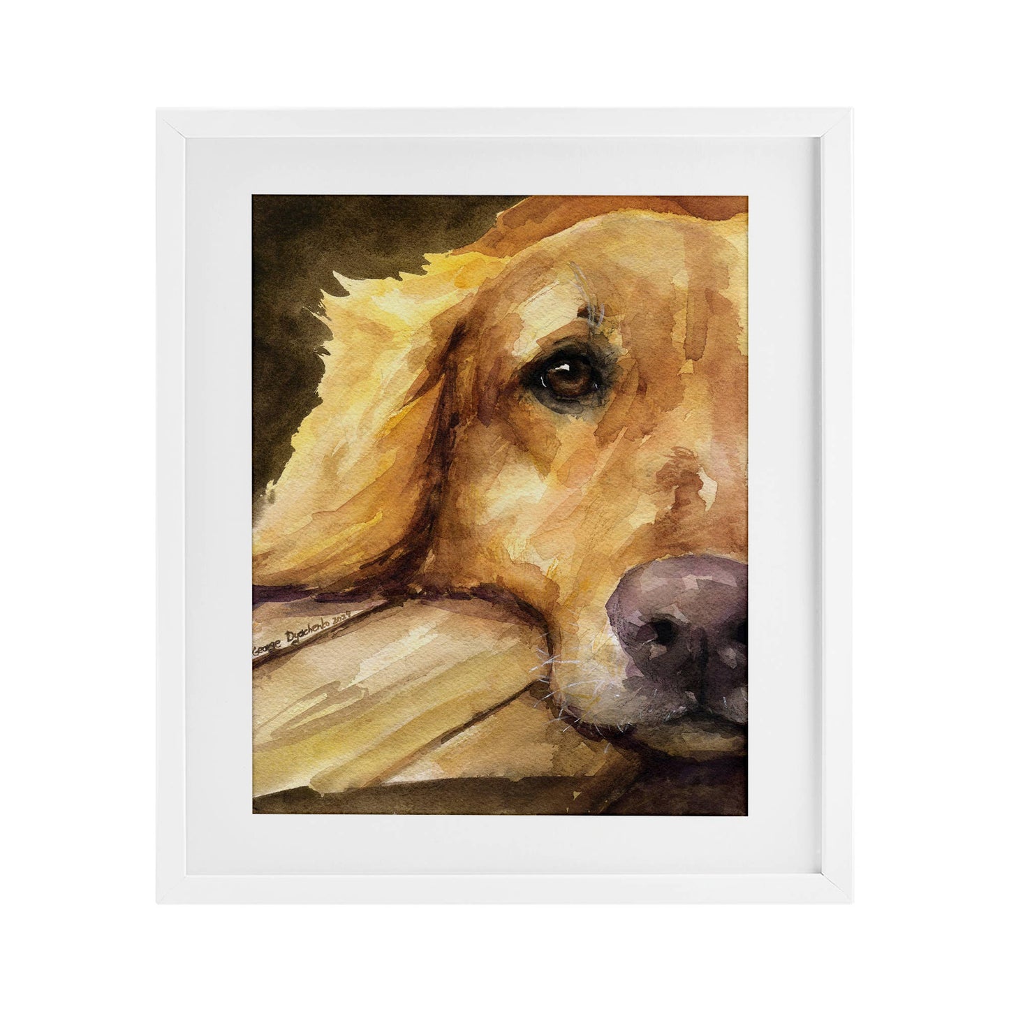 Sight of Golden Retriever - Print Under Glass Wall Art