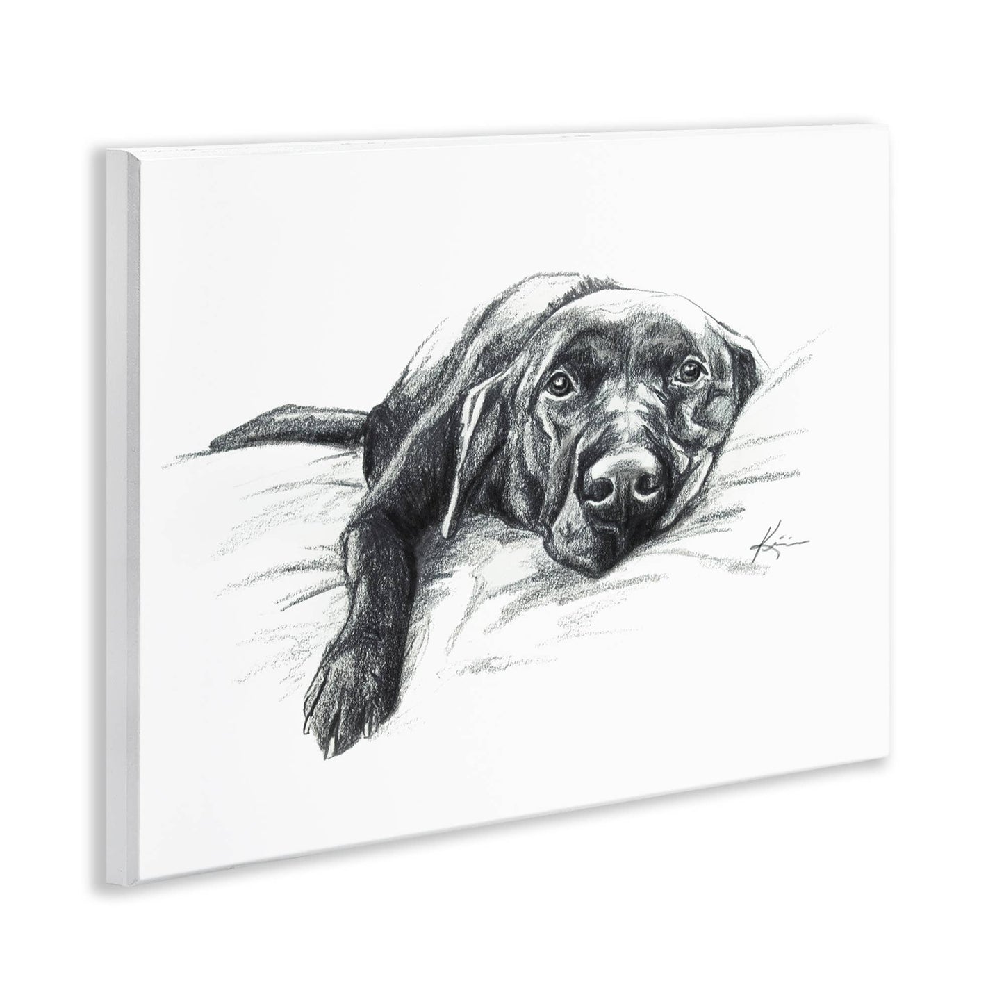 Naptime Black Labrador - Unframed Wall Art