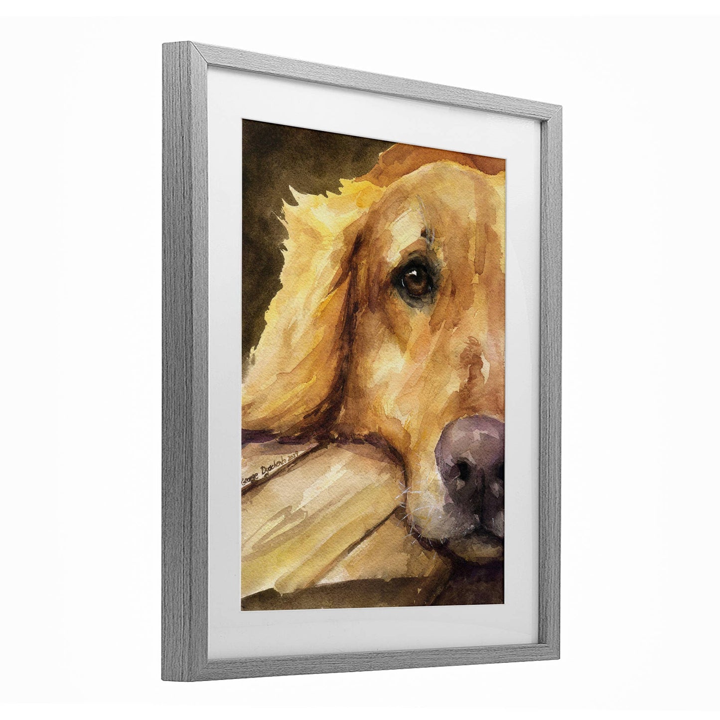 Sight of Golden Retriever - Print Under Glass Wall Art