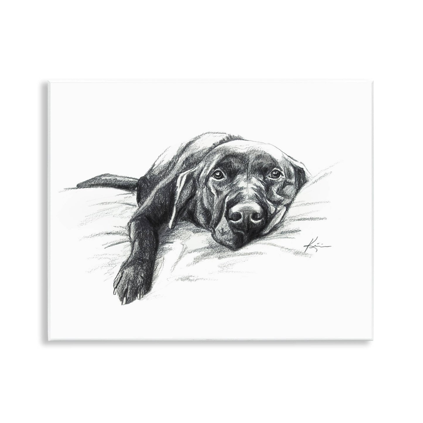 Naptime Black Labrador - Unframed Wall Art