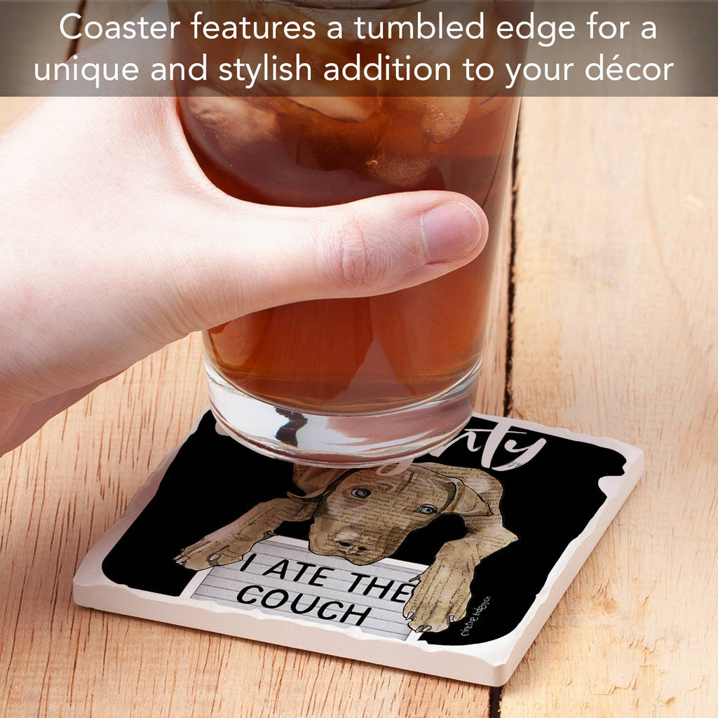 The Couch Single Absorbent Stone Tumbled Tile Coaster