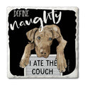 The Couch Single Absorbent Stone Tumbled Tile Coaster