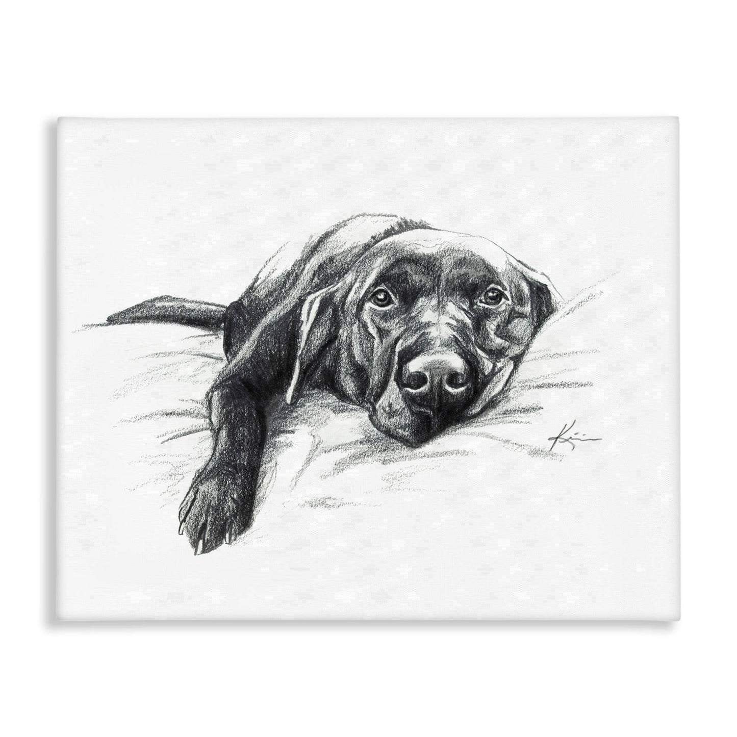 Naptime Black Labrador - Unframed Wall Art