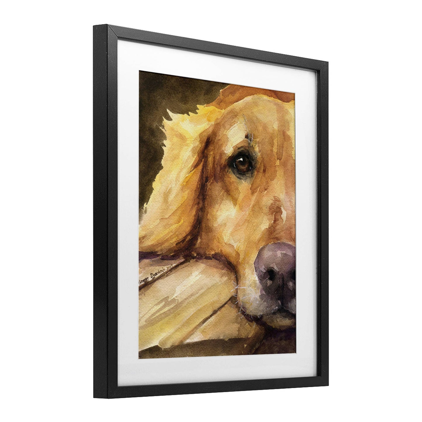 Sight of Golden Retriever - Print Under Glass Wall Art