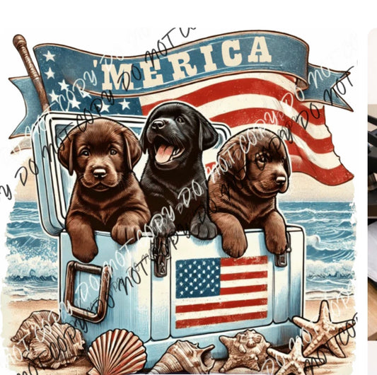 Dogs in a Cooler DTF