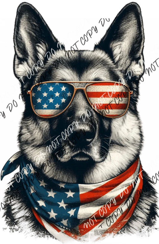 Patriotic German Shepherd