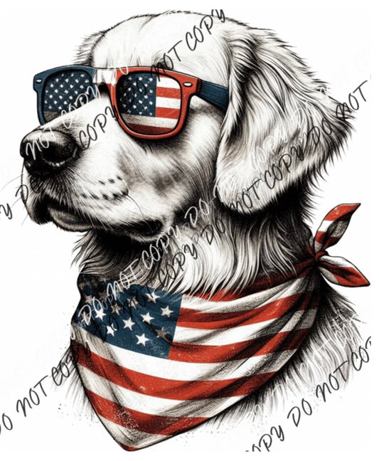 Golden Retriever DTF on a Tee