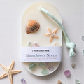 Coastal Scented Wax Sachets w/ YOUR LOGO