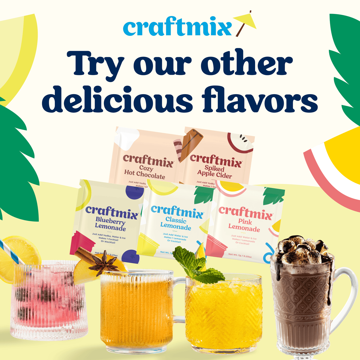 Lemonade Variety Pack Cocktail Mixers -6 Serving Multipack
